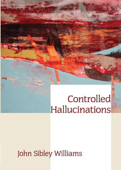 Controlled-Hallucinations