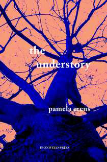 THE UNDERSTORY by Pamela Erens reviewed by Ashlee Paxton-Turner