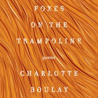 FOXES ON THE TRAMPOLINE by Charlotte Boulay reviewed by Matthew Girolami