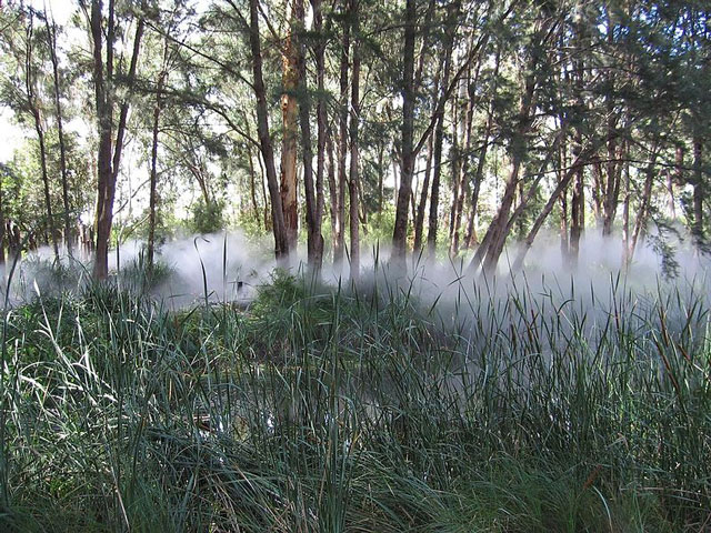 Fog Sculpture #94925 "Foggy Wake in a Desert: An Ecosphere," Sculpture Garden, Australian National Gallery, Canberra