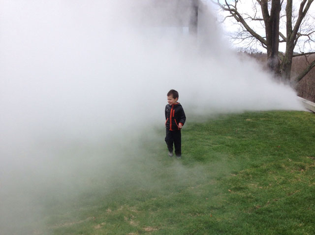 The author's son in the fog at the Philip Johnson Glass House, April 2014.