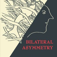 BILATERAL ASYMMETRY by Don Riggs reviewed by Shinelle L. Espaillat