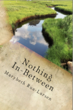 NOTHING IN BETWEEN by Marybeth Rua-Larsen reviewed by Shinelle Espaillat