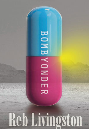 Bombyonder cover art. A large pill half blue and half purple standing covering the yellow sun