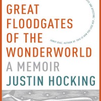 THE GREAT FLOODGATES OF THE WONDERWORLD by Justin Hocking reviewed by Ana Schwartz