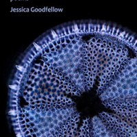 MENDELEEV’S MANDALA by Jessica Goodfellow reviewed by Camille E. Davis