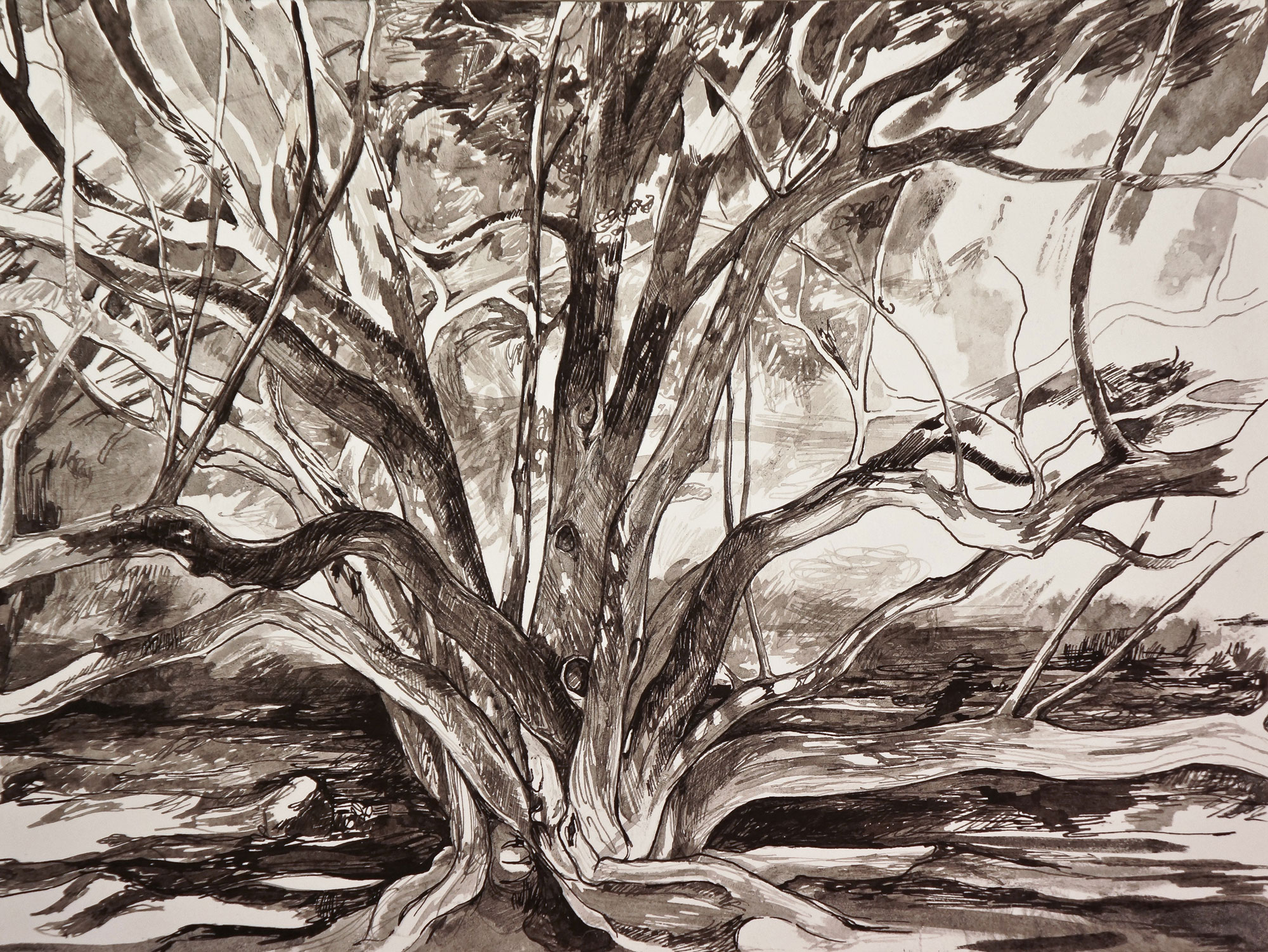 Drawing Charcoal Trees by firephoenix120 | OurArtCorner