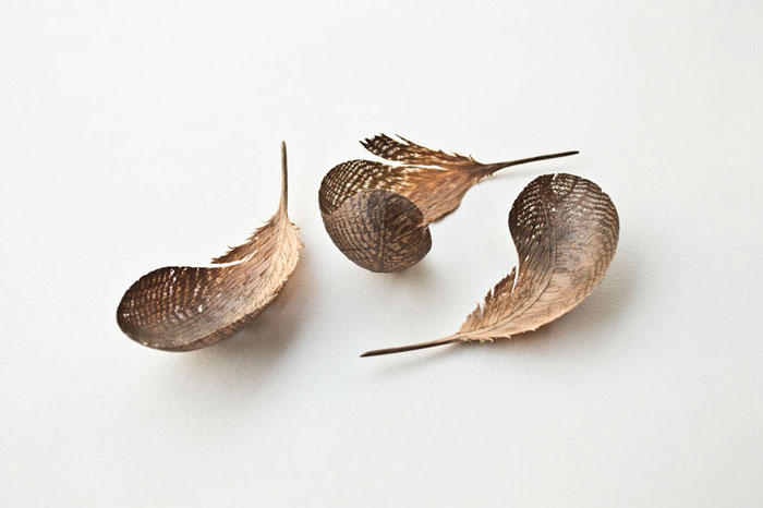 https://www.cleavermagazine.com/wp-content/uploads/2016/02/Feather-11889-11888-11887.jpg