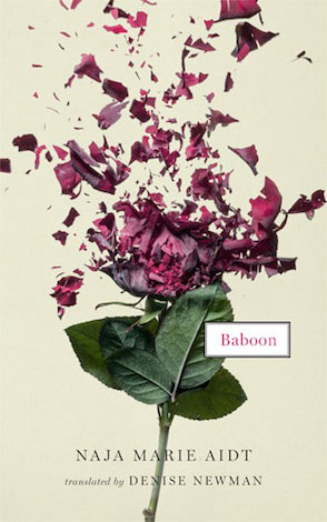 Baboon cover art. A rose with parts of its petals shattered into tiny fragments