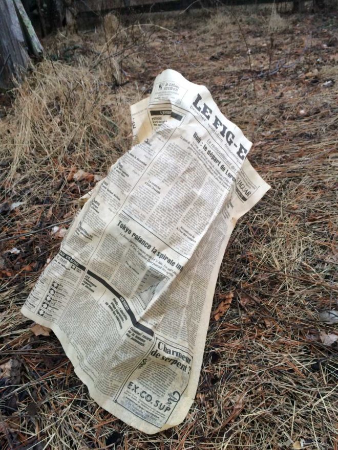 A torn page of a French newspaper