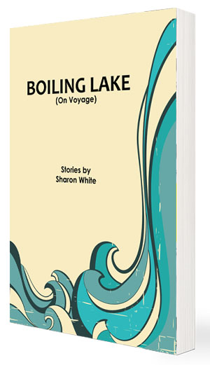 Boiling Lake cover art. Drawings of flowing blue waves against an off-white background 