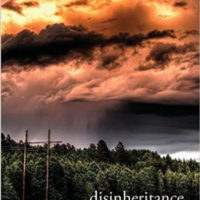 DISINHERITANCE, poems by John Sibley Williams, reviewed by Claire Oleson
