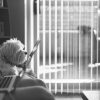 stop-breathing-and-just-write, black and white photo of dog and laptop on person's lap 