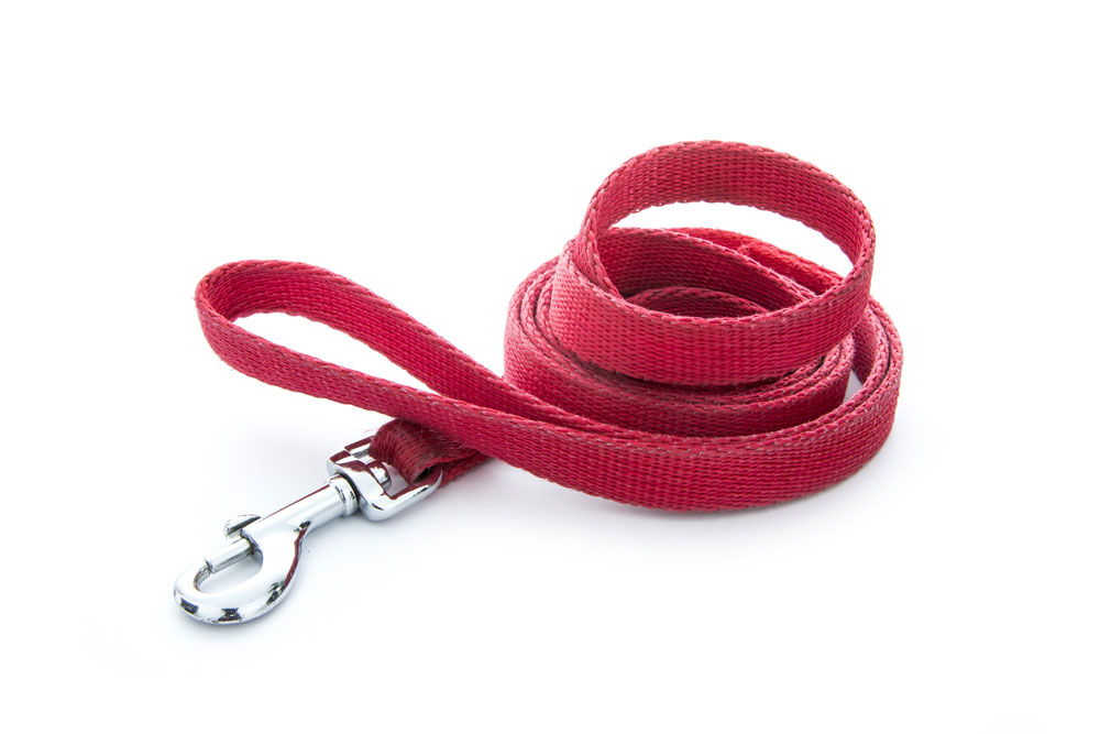 Red dog leash