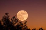 SUPERMOON, NOVEMBER 14, 2016 and AUTUMNAL EQUINOX, WASHINGTON, D.C, two poems by Jackleen Holton Hookway, featured on Life As Activism