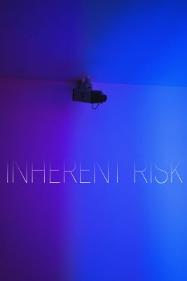 INHERENT RISK by Danielle Holmes