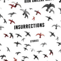 INSURRECTIONS, stories by Rion Amilcar Scott, reviewed by William Morris