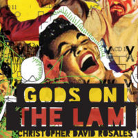 GODS ON THE LAM, a novel by Christopher David Rosales, reviewed by Brandon Stanwyck