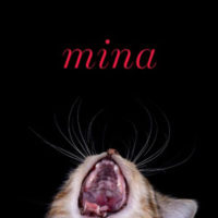 MINA, a novel by Kim Sagwa, reviewed by Kelly Doyle