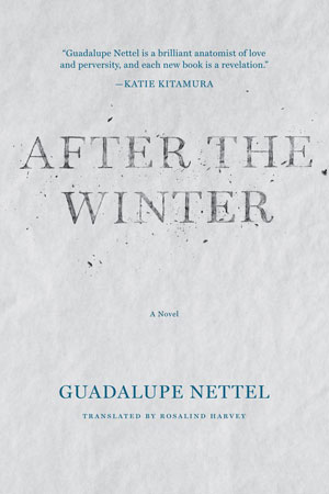 After the Winter cover art. The title text in front of a smooth sheet of ice