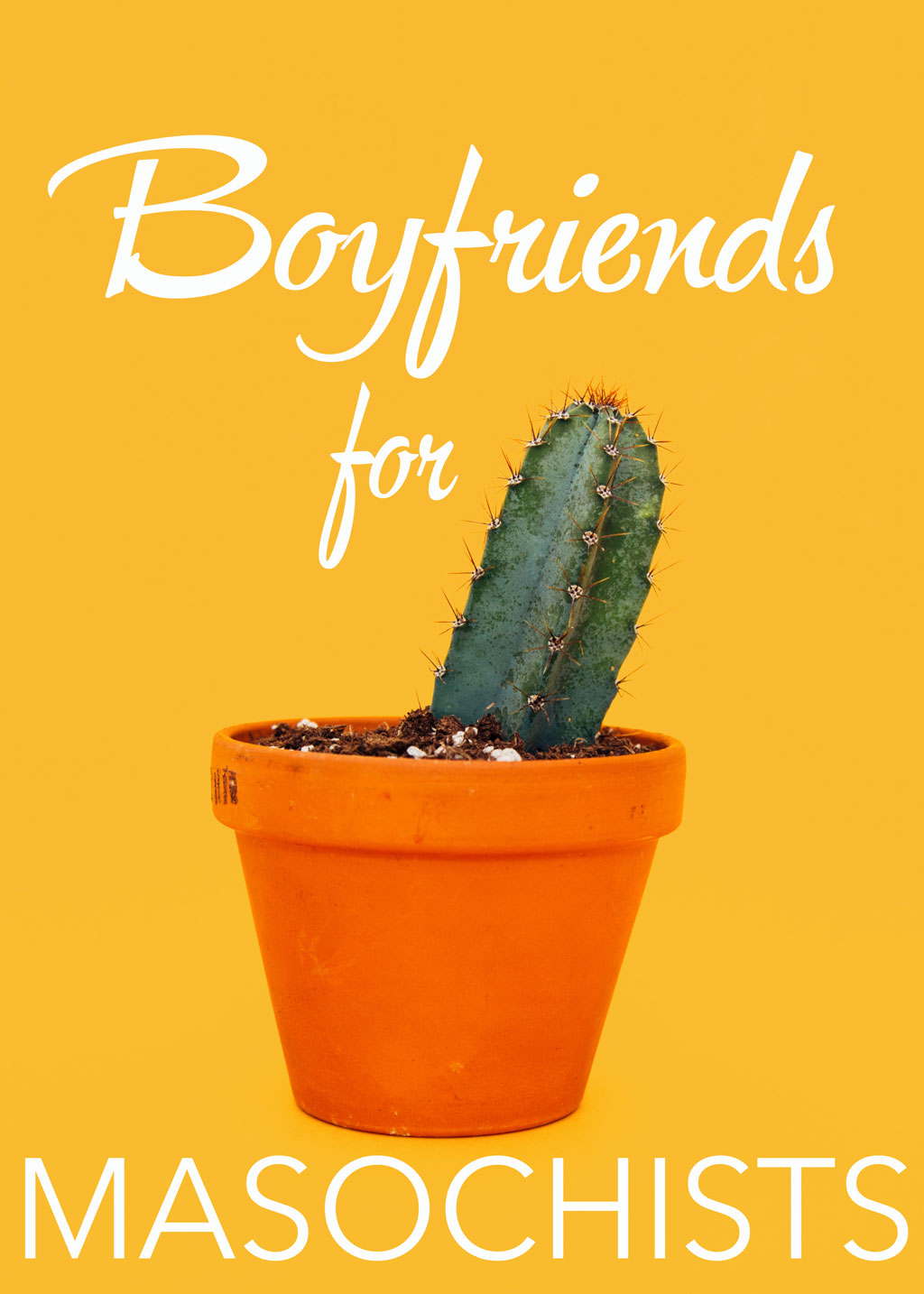 Potted cactus against yellow background with title