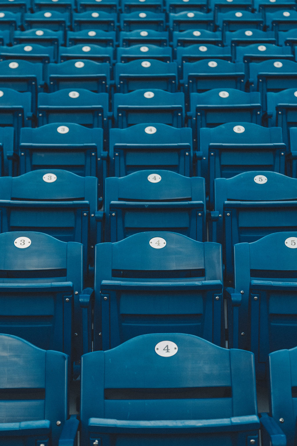 Rows of blue stadium seats