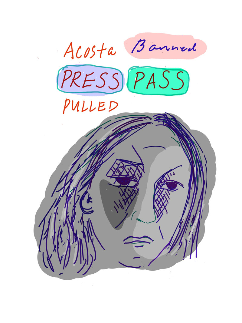 "Acosta Banned Press Pass Pulled" sketch of grey woman with her features highlighted in purple looking despondently ahead