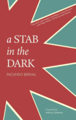 A STAB IN THE DARK, poems  by Facundo Bernal, reviewed by Johnny Payne