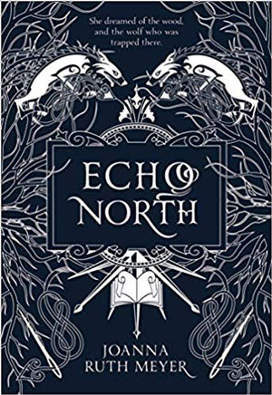Echo North book jacket, featuring a black and white illustration of dragons