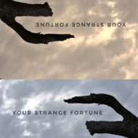 Jacket Cover for Your Strange Fortune