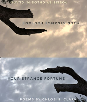 Jacket Cover for Your Strange Fortune; two way reflection of bare tree against clouded sky