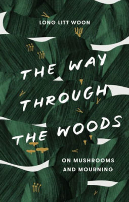 Cover art for The Way Through the Woods