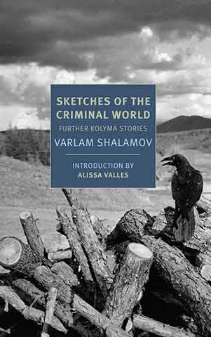 Sketches of the Criminal World Book Jacket. A black-and-white photo of a raven sitting on tree logs in front of empty desert