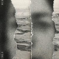 MINOR DETAIL, a novel by Adania Shibli, translated by Elisabeth Jaquette and reviewed by Dylan Cook