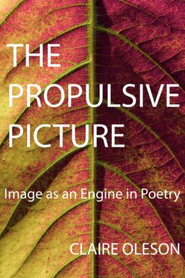 THE PROPULSIVE PICTURE, Image as an Engine in Poetry, a Workshop taught by Cleaver Poetry Editor Claire Oleson | September 19 to October 24, 2020  [SOLD OUT]