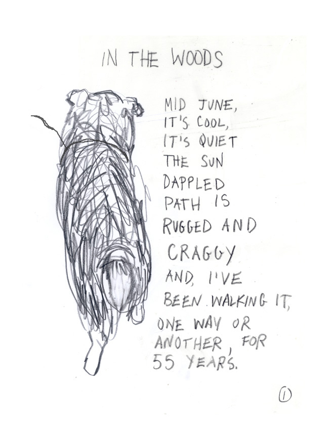 IN THE WOODS by Emily Steinberg - Title
