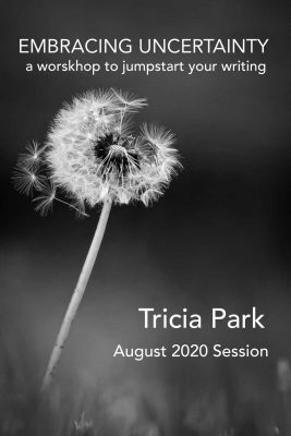 EMBRACING UNCERTAINTY II: A Workshop to Jumpstart Your Creativity, taught by Tricia Par, August 8 to September 5, 2020 [SOLD OUT]