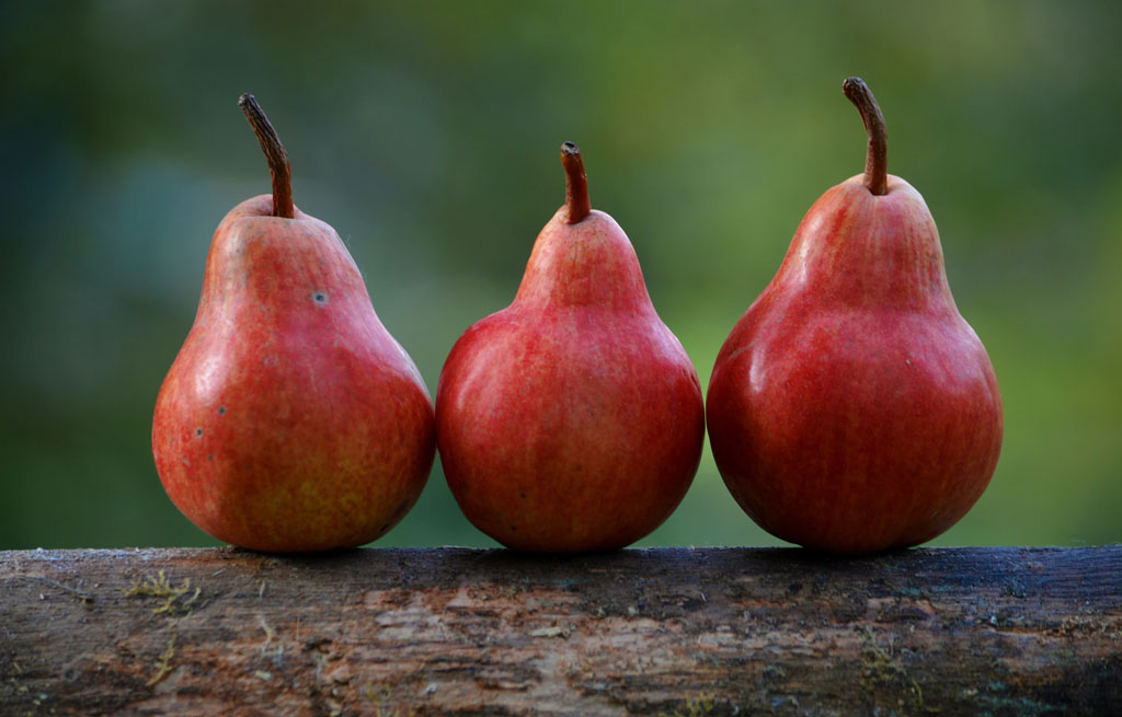 three red pears on a blurred green background