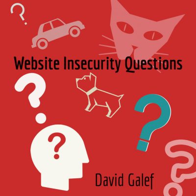 WEBSITE INSECURITY QUESTIONS by David Galef