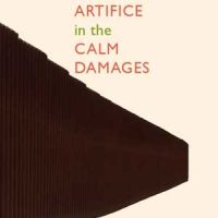 ARTIFICE IN THE CALM DAMAGES, poems by Andrew Levy, reviewed by Johnny Payne