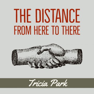 THE DISTANCE FROM HERE TO THERE by Tricia Park