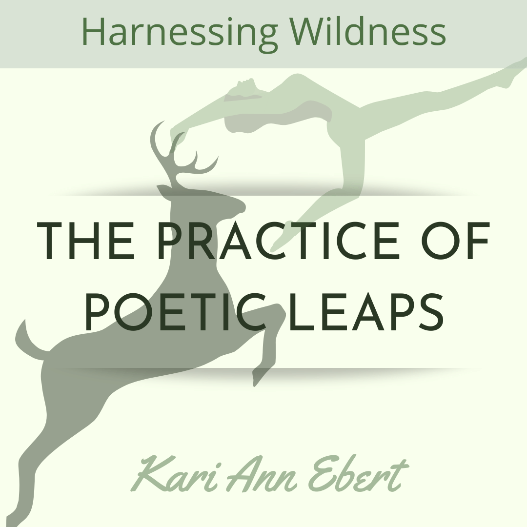 HARNESSING WILDNESS: THE PRACTICE OF POETIC LEAPS , a Craft Essay by Kari Ann Ebert • Cleaver Magazine HARNESSING WILDNESS: THE PRACTICE OF POETIC LEAPS , a Craft Essay by Kari Ann Ebert • Cleaver Magazine