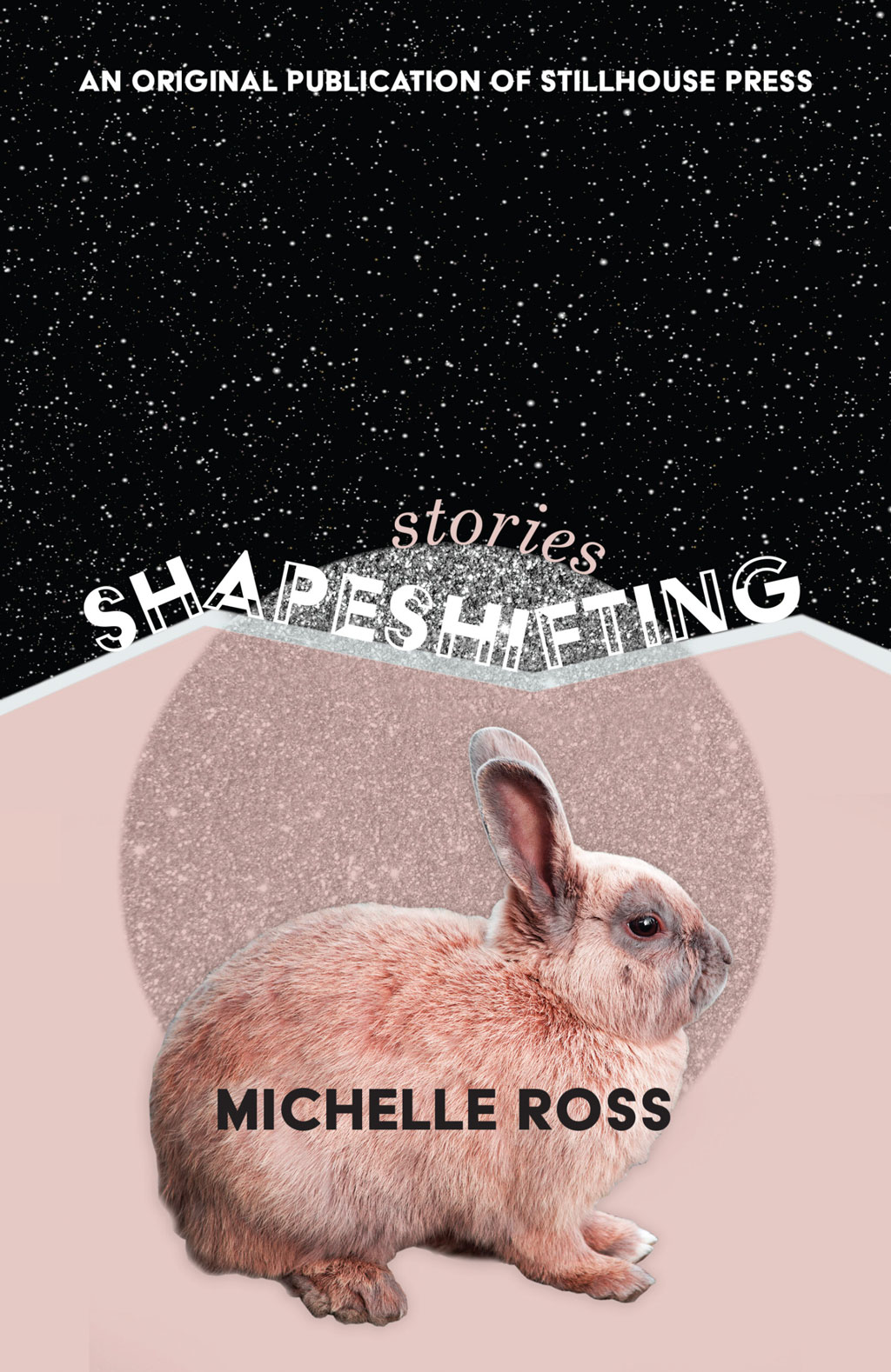 FIVE AND A HALF QUESTIONS FOR MICHELLE ROSS ON HER NEW COLLECTION SHAPESHIFTING—Interview by Kathryn Kulpa