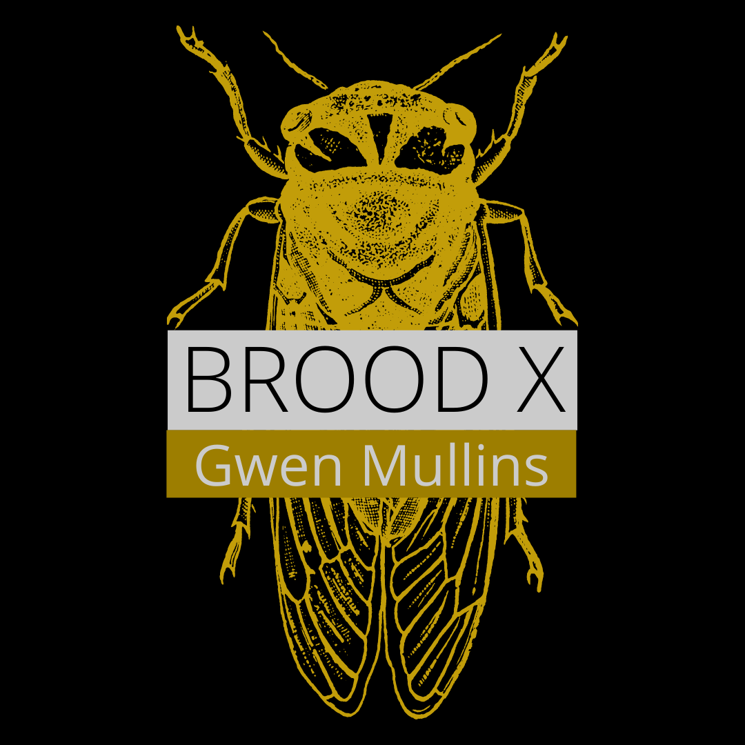 BROOD X by Gwen Mullins