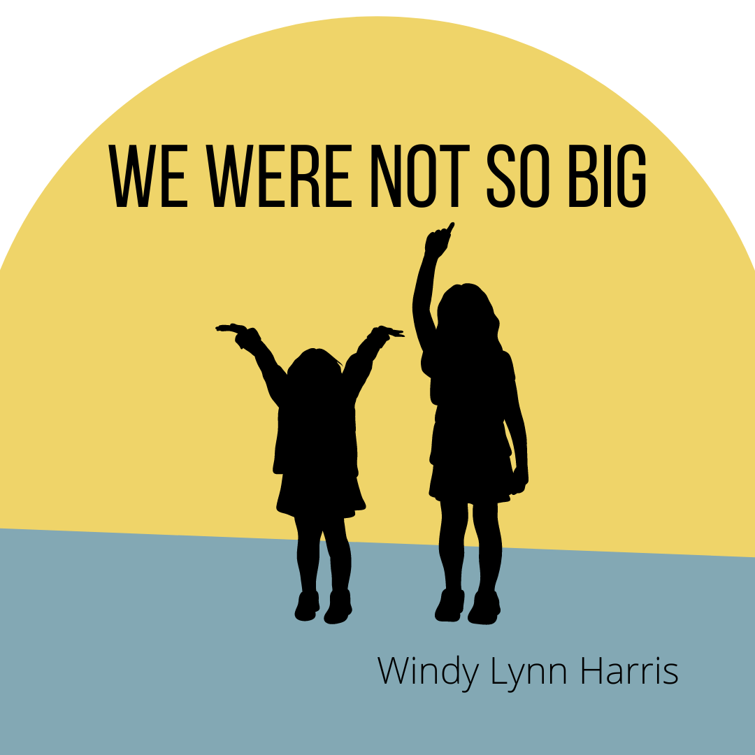 WE WERE NOT SO BIG by Windy Lynn Harris