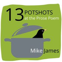 THIRTEEN POTSHOTS AT THE PROSE POEM, a Craft Essay by Mike James