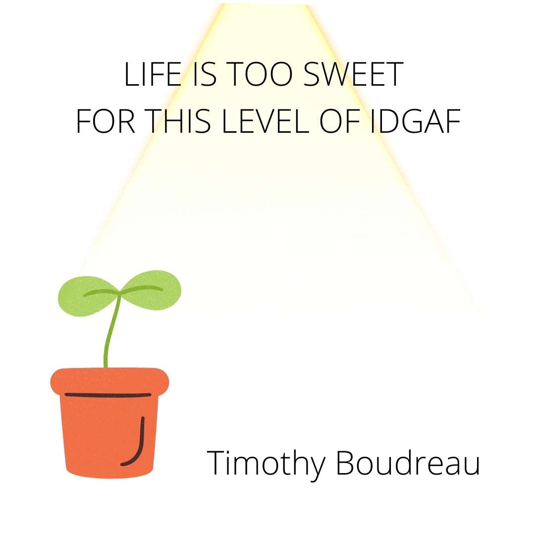 LIFE IS TOO SWEET FOR THIS LEVEL OF IDGAF  by Timothy Boudreau