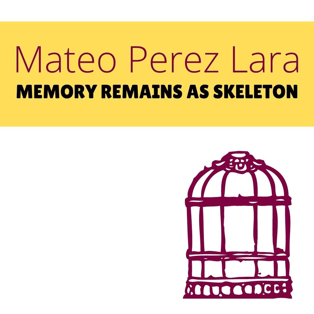 MEMORY REMAINS AS SKELETON by Mateo Perez Lara