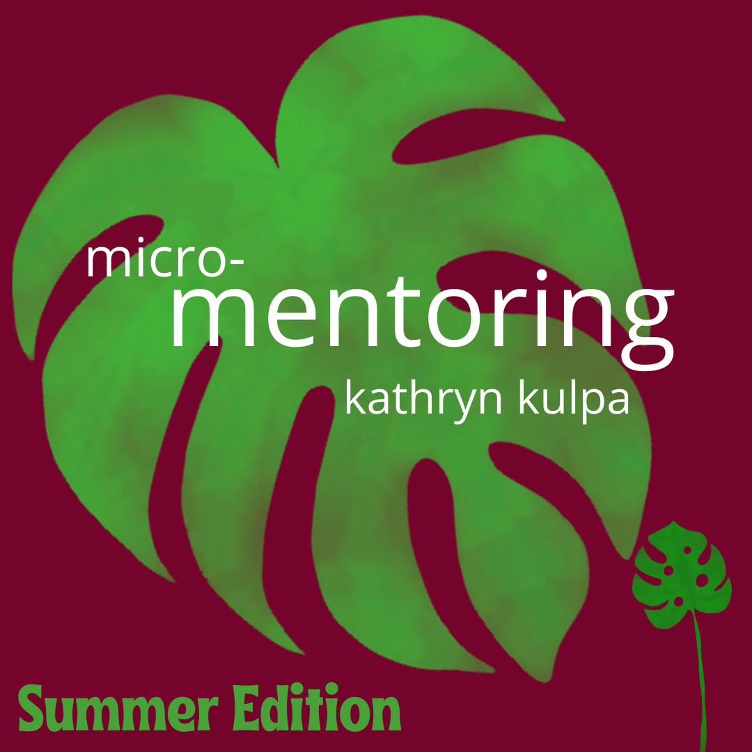 micro mentoring summer