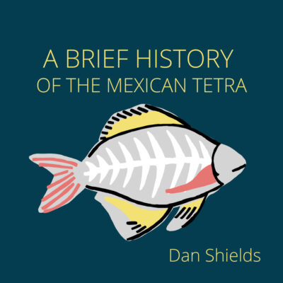 A BRIEF HISTORY OF THE MEXICAN TETRA by Dan Shields